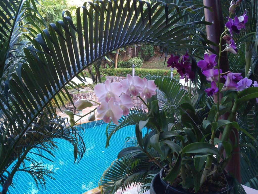 Inter House Hotell Kata Beach  Exteriör bild