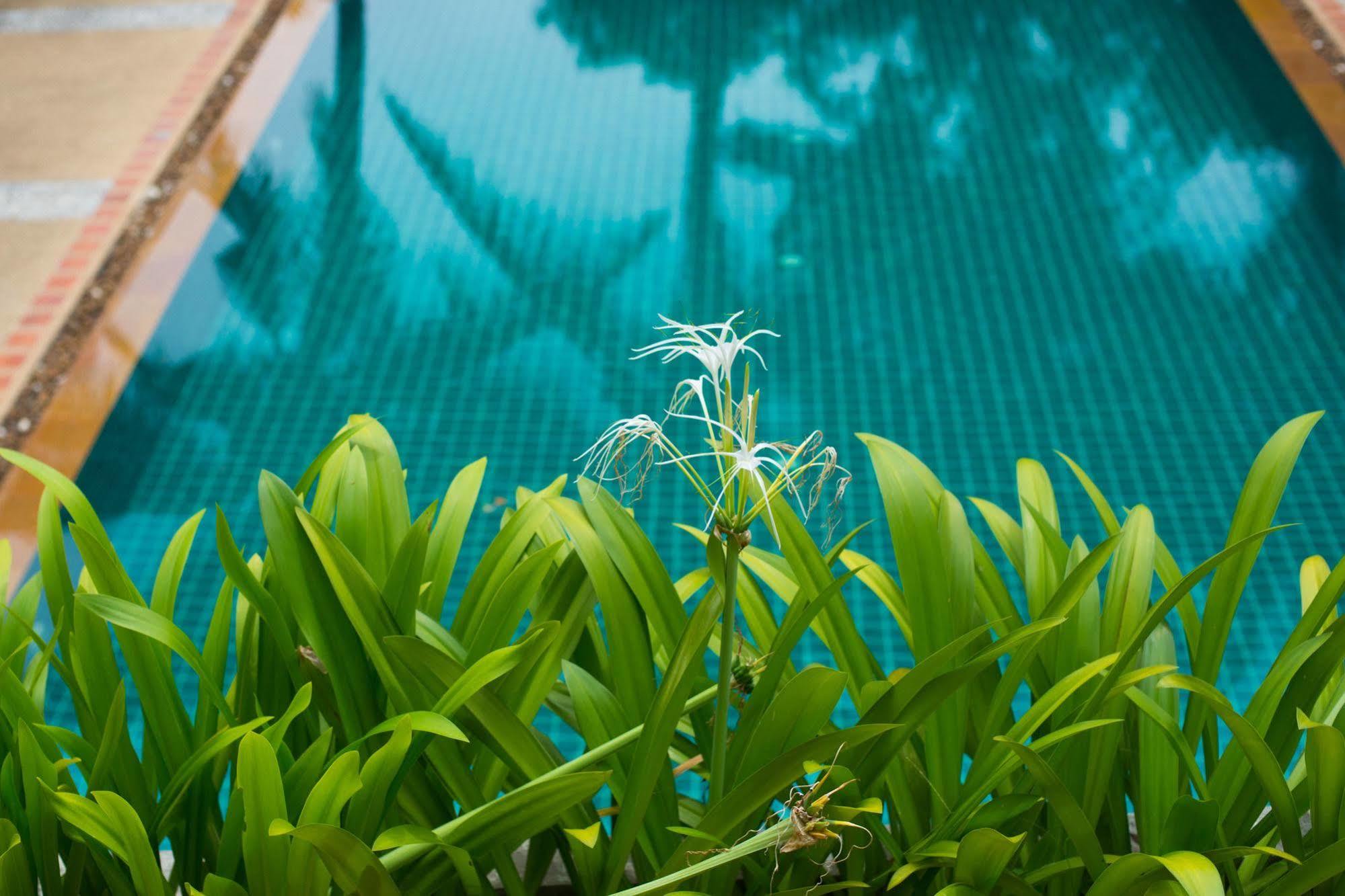 Inter House Hotell Kata Beach  Exteriör bild